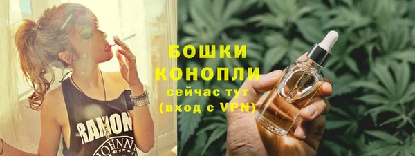 ГАЛЛЮЦИНОГЕННЫЕ ГРИБЫ Осинники