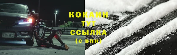 индика Алексин