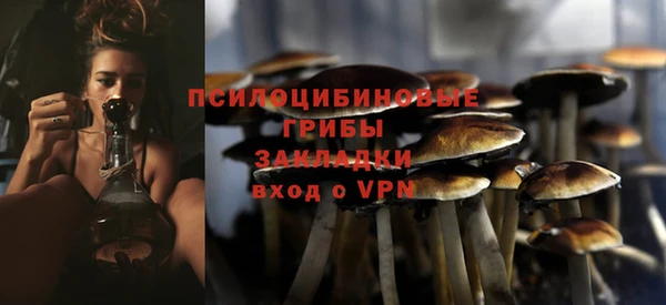 ПСИЛОЦИБИНОВЫЕ ГРИБЫ Алексеевка