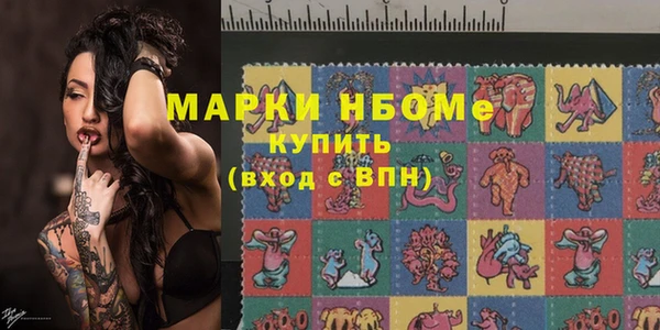 индика Алексин