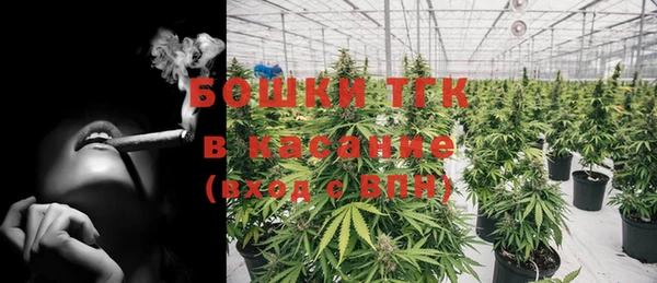 индика Алексин