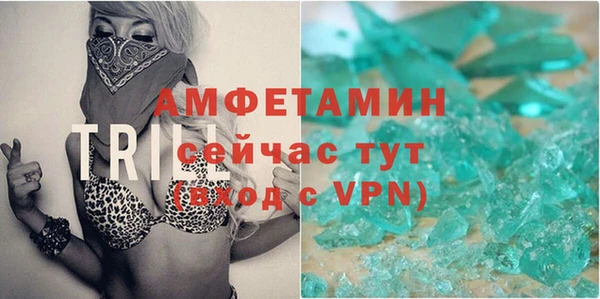 индика Алексин