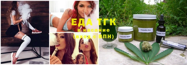 индика Алексин