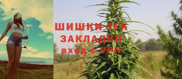ешки Алзамай