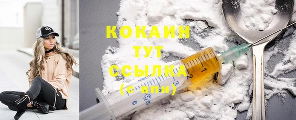 ешки Алзамай
