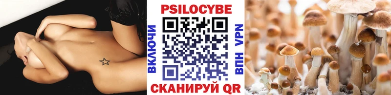 Галлюциногенные грибы Cubensis Ветлуга