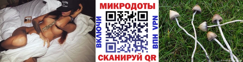 МЕГА ONION  Ветлуга  Галлюциногенные грибы Magic Shrooms  купить наркотик 