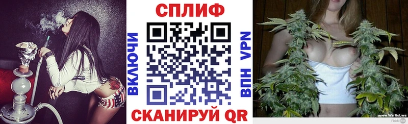 Бошки Шишки гибрид Ветлуга